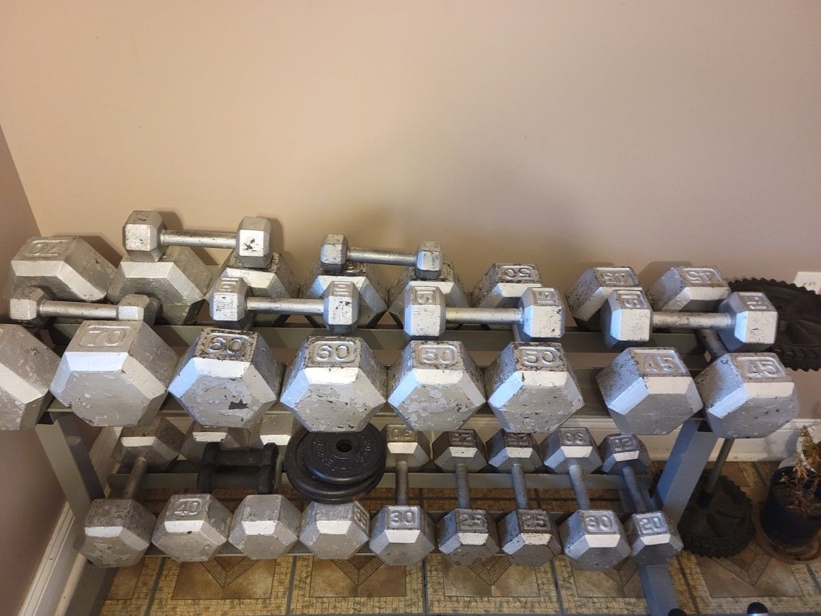 Dumbbells & Rack