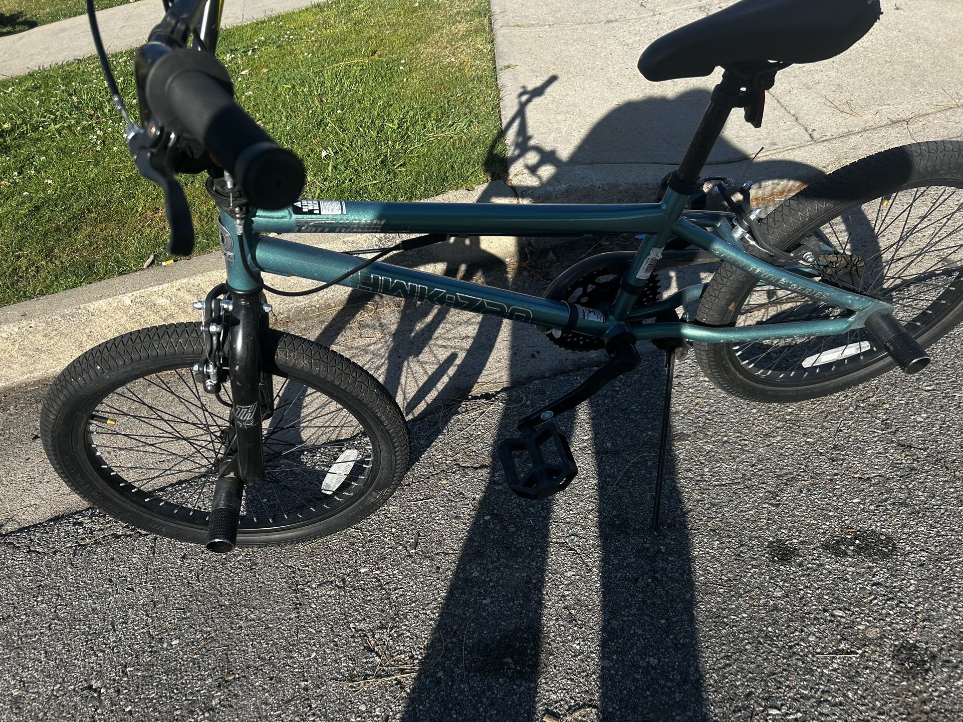 Tony Hawk, Bike Special Edition