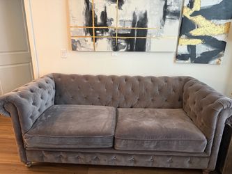 Gary velvet couch