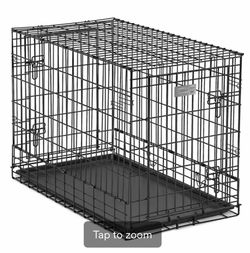 Purebred Pomeranian Dog crate