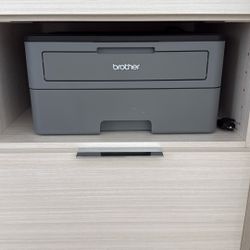 The Brother HL-L2350DW Printer