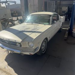1966 Mustang Fastback GT