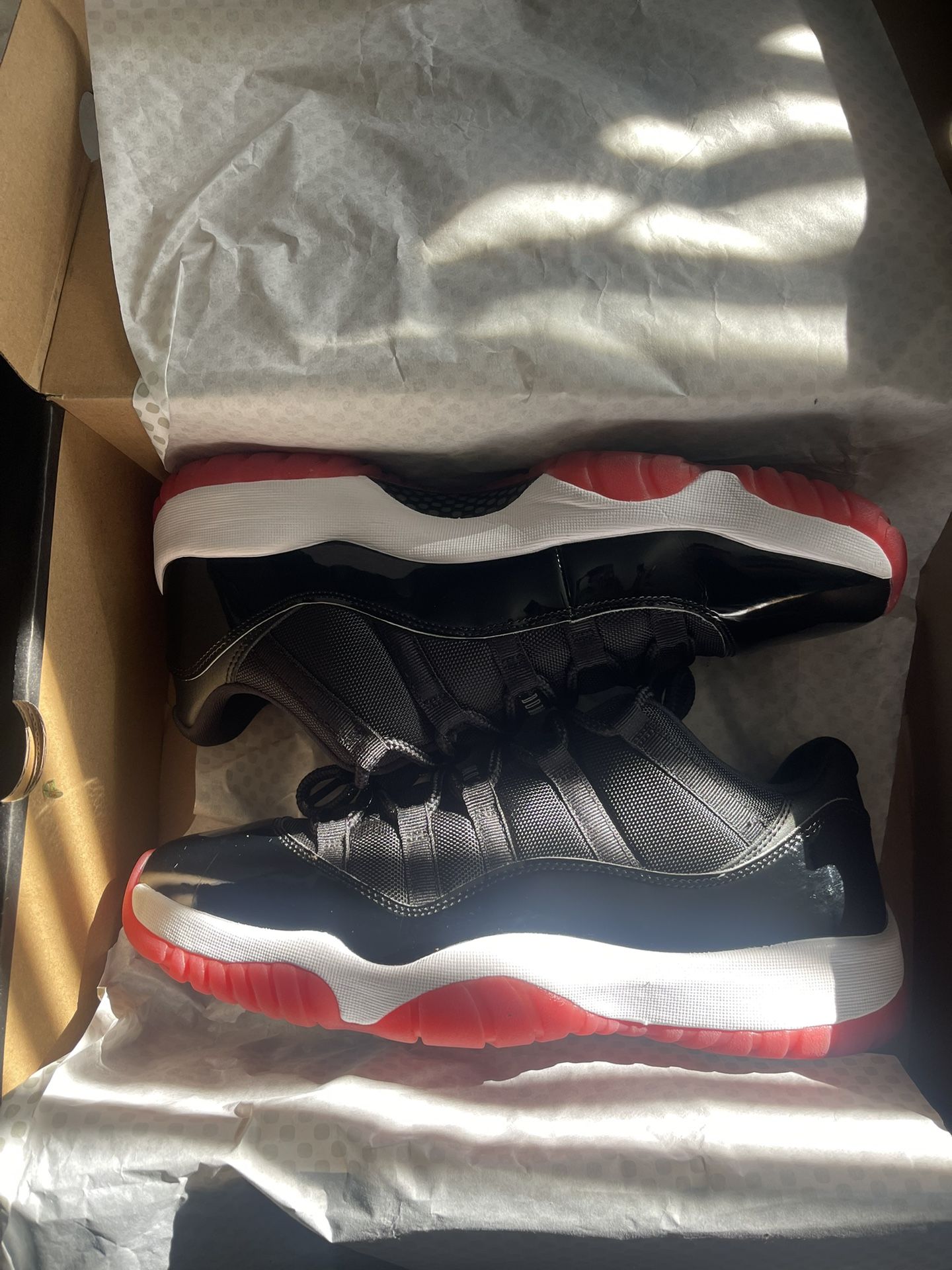 Size 12 Air Jordan 11 Low Bred