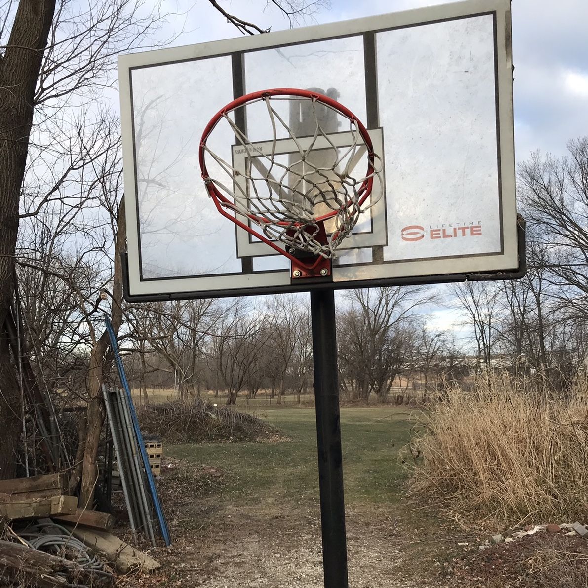 Elite Basketball Hoop