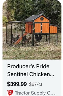 Chicken Coop, 6 Chicken Roosting Capacity
