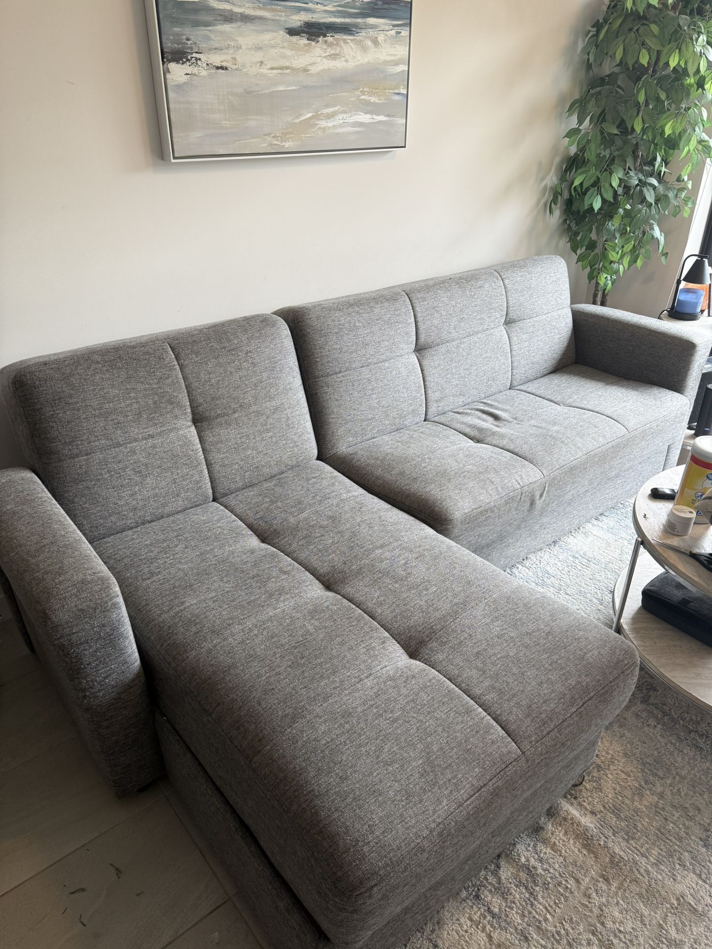 Couch/Sofa With Internal Storage