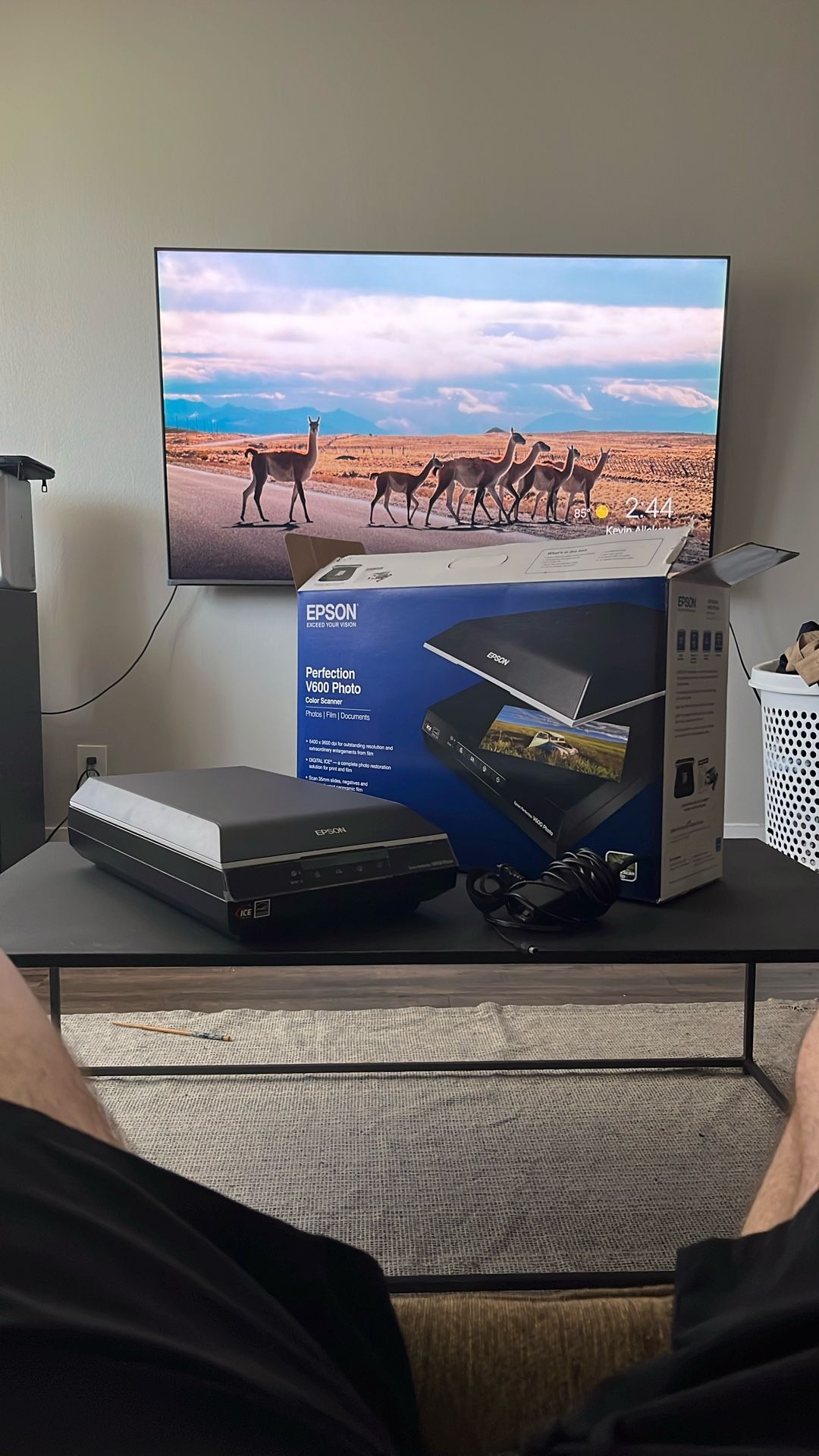 Epson V600 Scanner