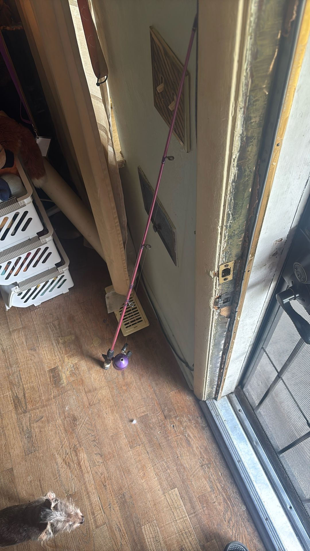 Pink Fishing Pole