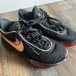 Nike LeBron XX Basketball Shoes