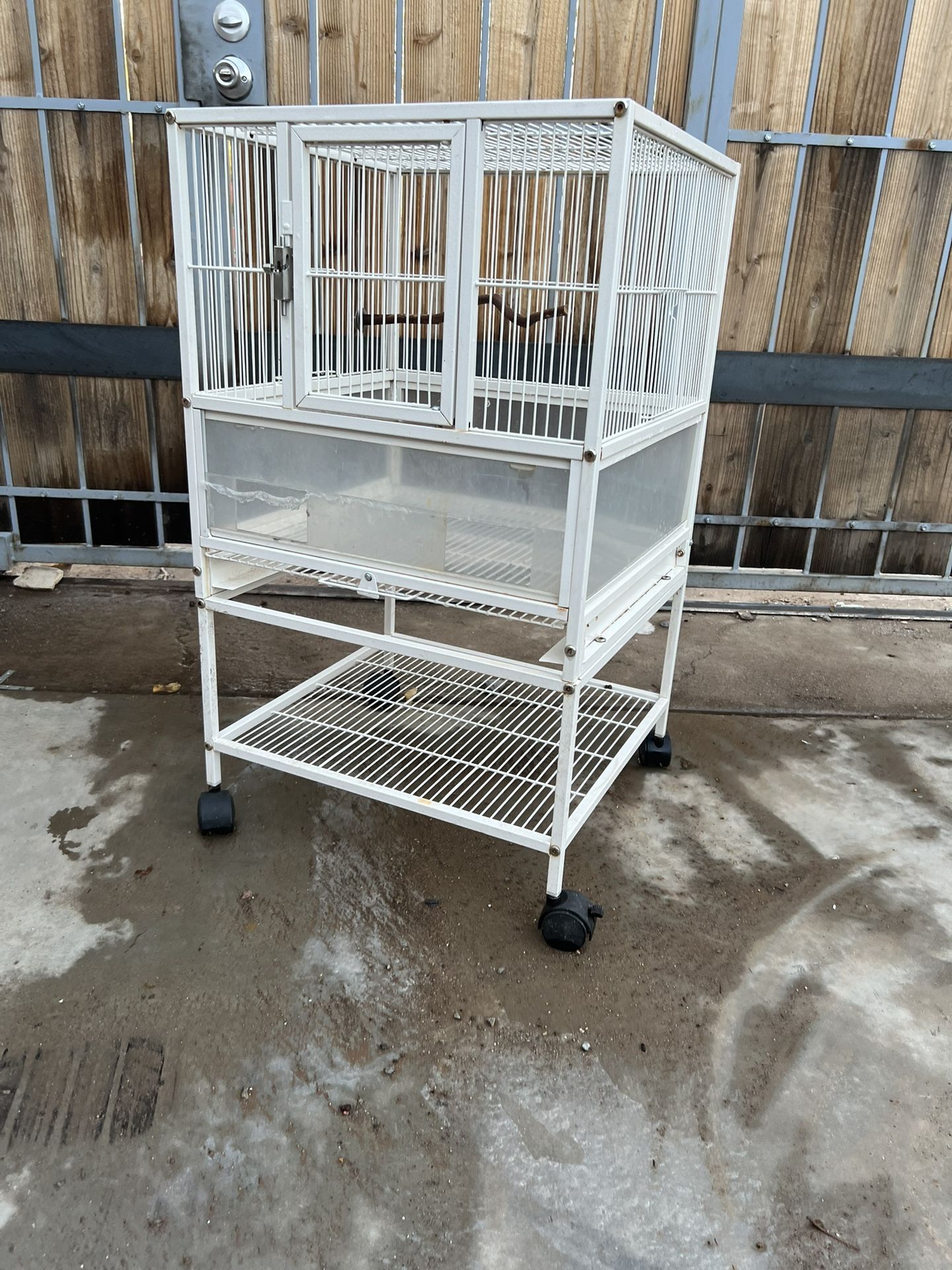 Bird Cage For Sale 
