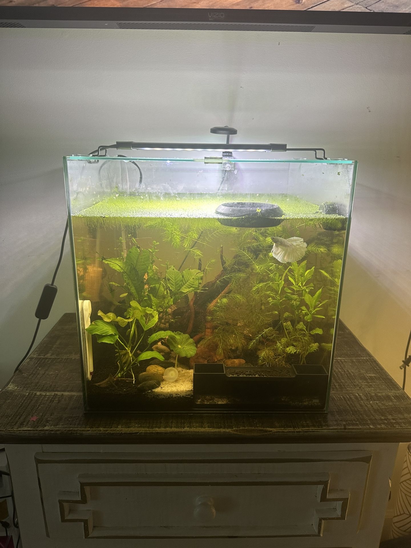 Fish Tank BRAND NEW 14 Gallon EVERYTHING INCLUDED