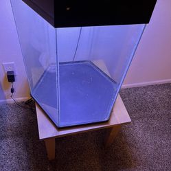 20 Gallon Hexagon Fish Aquarium Tank