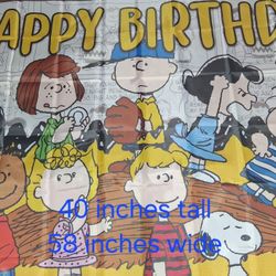 Peanuts Backdrop 