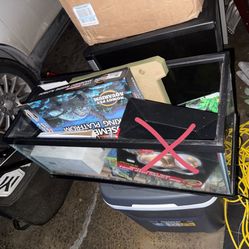 turtle tank and set up