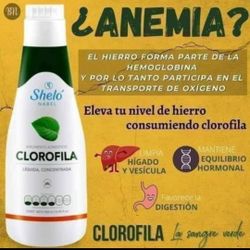 Clorofila