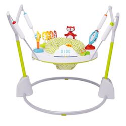 Skip hop Activity Jumper