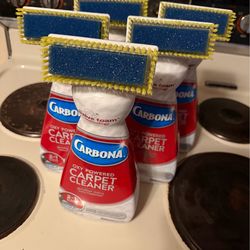 New Carbona carpet cleaner