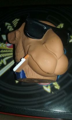 Camel beer coozie