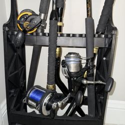 Fishings And Trolling Rods 