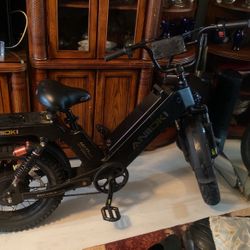   Aniiioki Electric  Bike