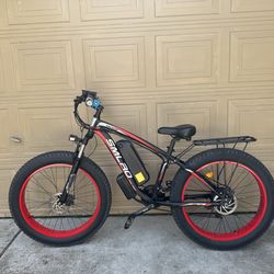 Electric Mountain/Cruise bike