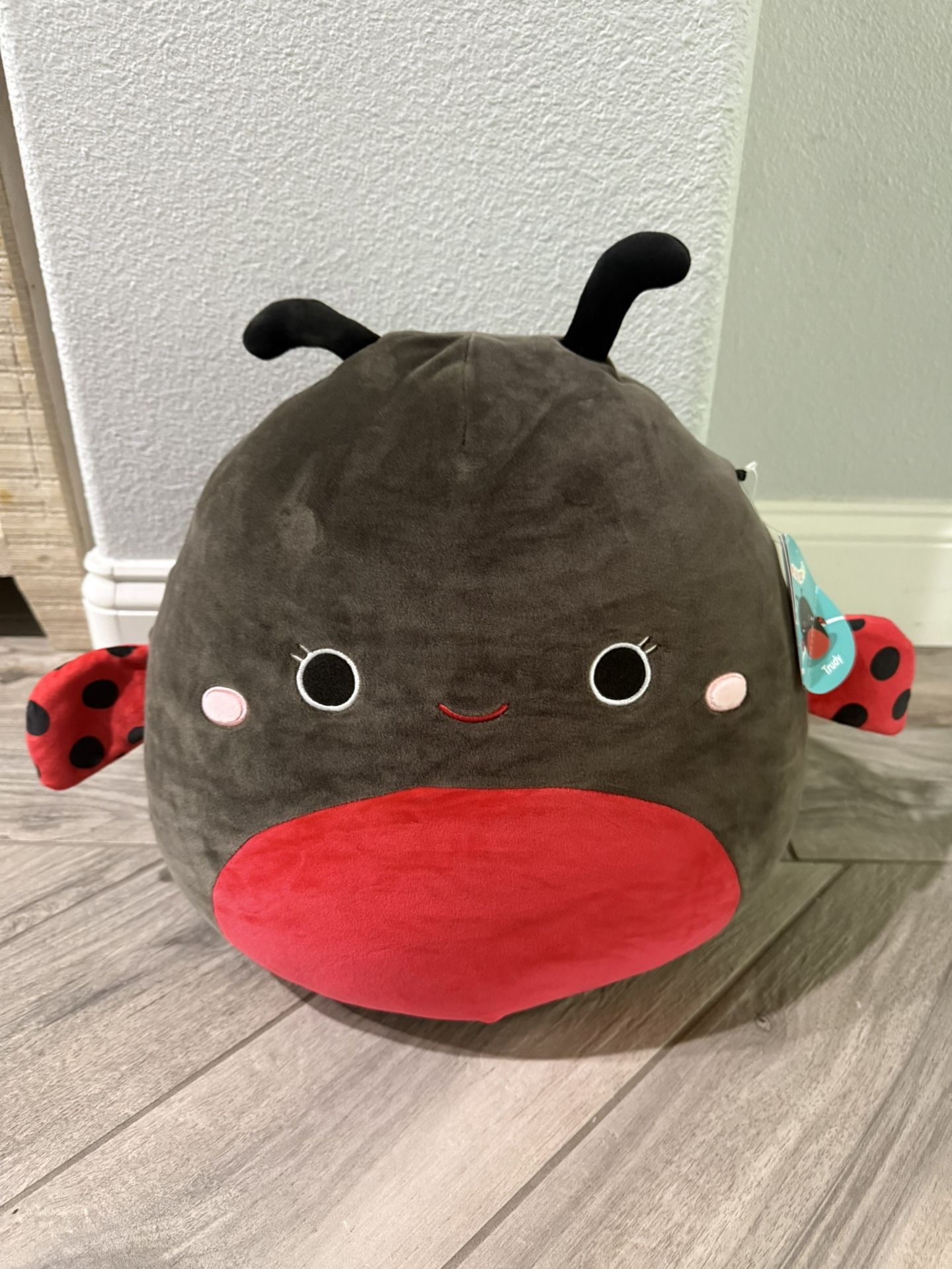 Lady Bug Squishmallow