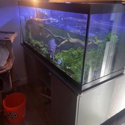 Aquarium 