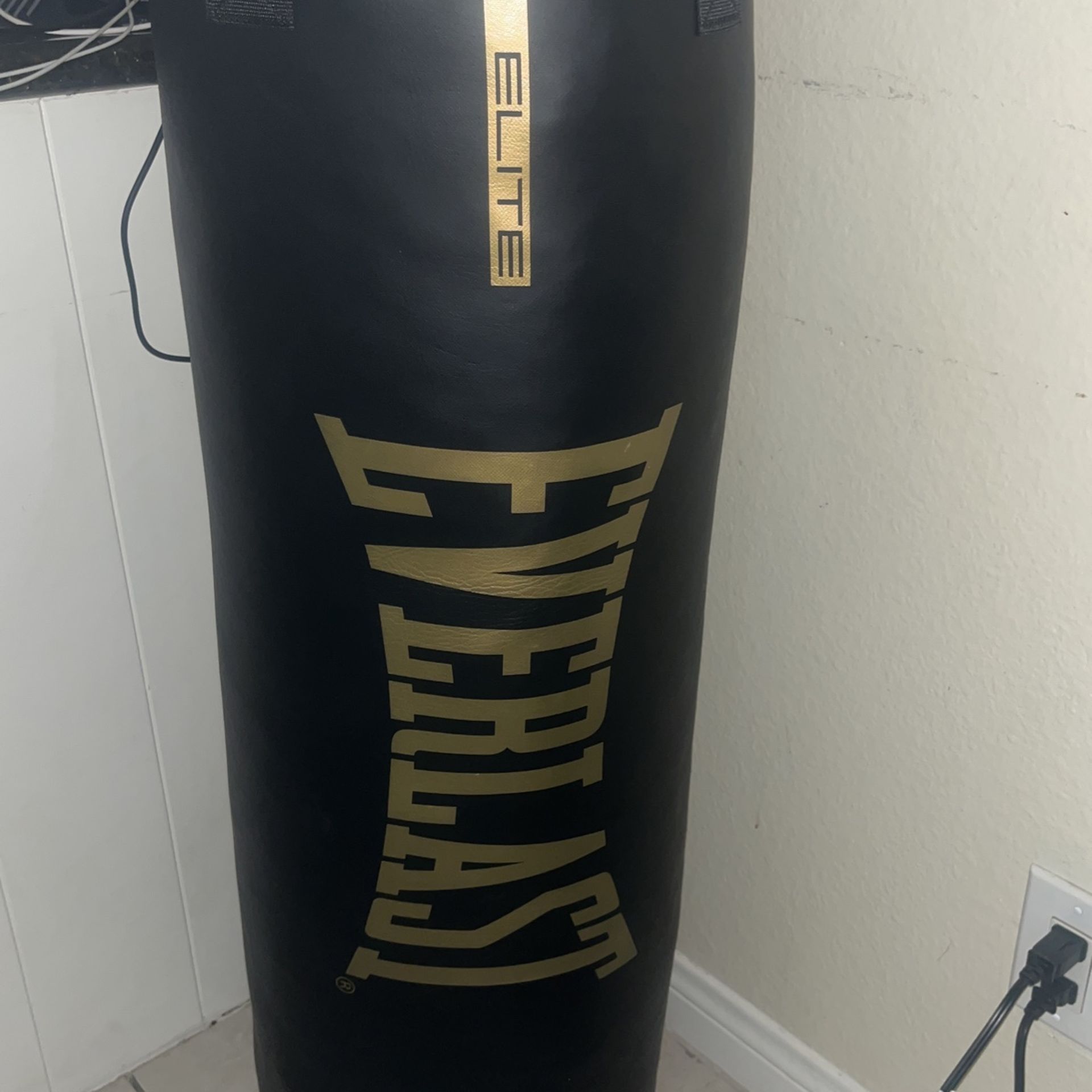 Elite Everlast Punching Bag 