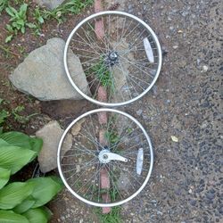 20 Inch Heavy Duty BMX Wheels 