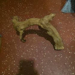 Driftwood