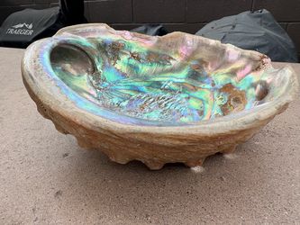 Vintage Mid Century Footed Abolone Shell