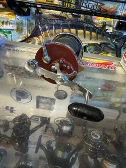(Murrieta) Penn senator 113 salt water fishing reel.