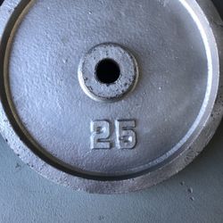 Gym Equipment Workout