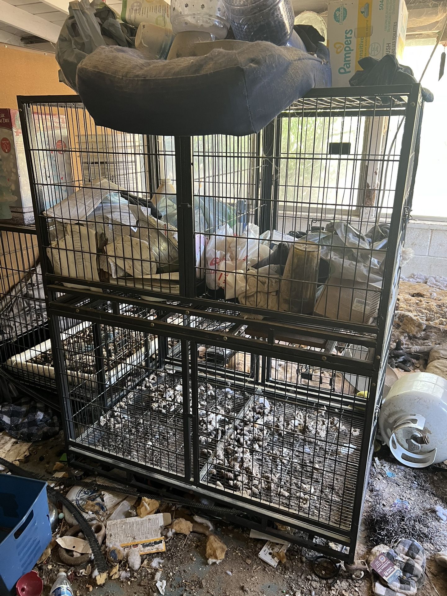 Free Dog Or Bird Cages.