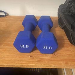 8lb Dumbbells 