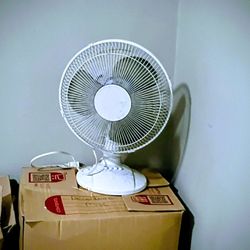 Three Speed Oscillating Fan 