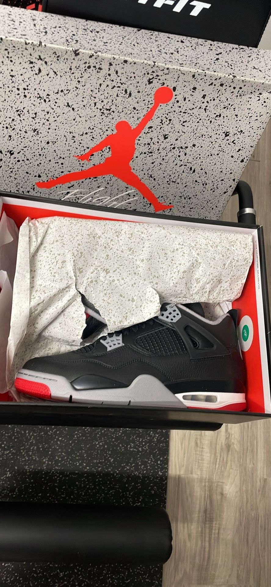 Jordan 4 Bred Reimagined