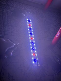 Hygger light