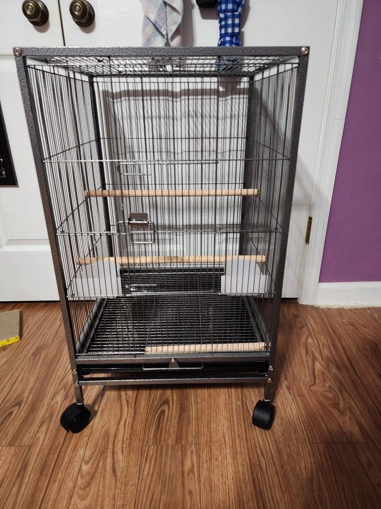 Bird Cage
