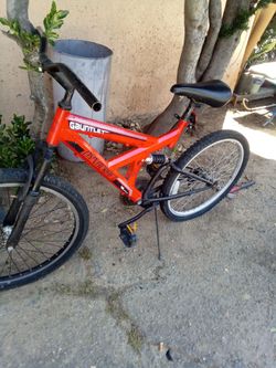 Gauntlet  Dyna craft 18speed