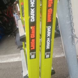 Little Giant Dark Horse,Used Once
