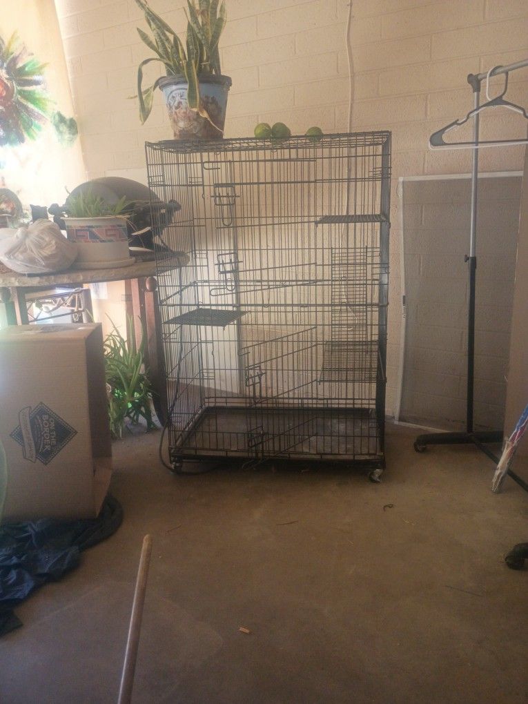 Cat Or Bird Cage