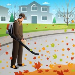 Leaf Cleanup.