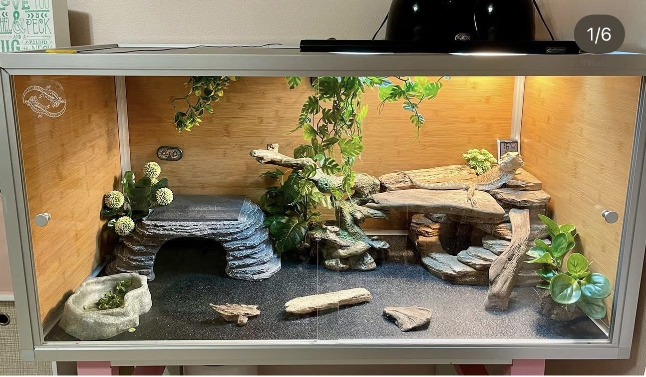4x2x2 „Zen Habitat“ Reptile Enclosure Plus Accessories