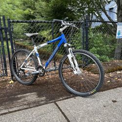 Specialized Mountain Bike