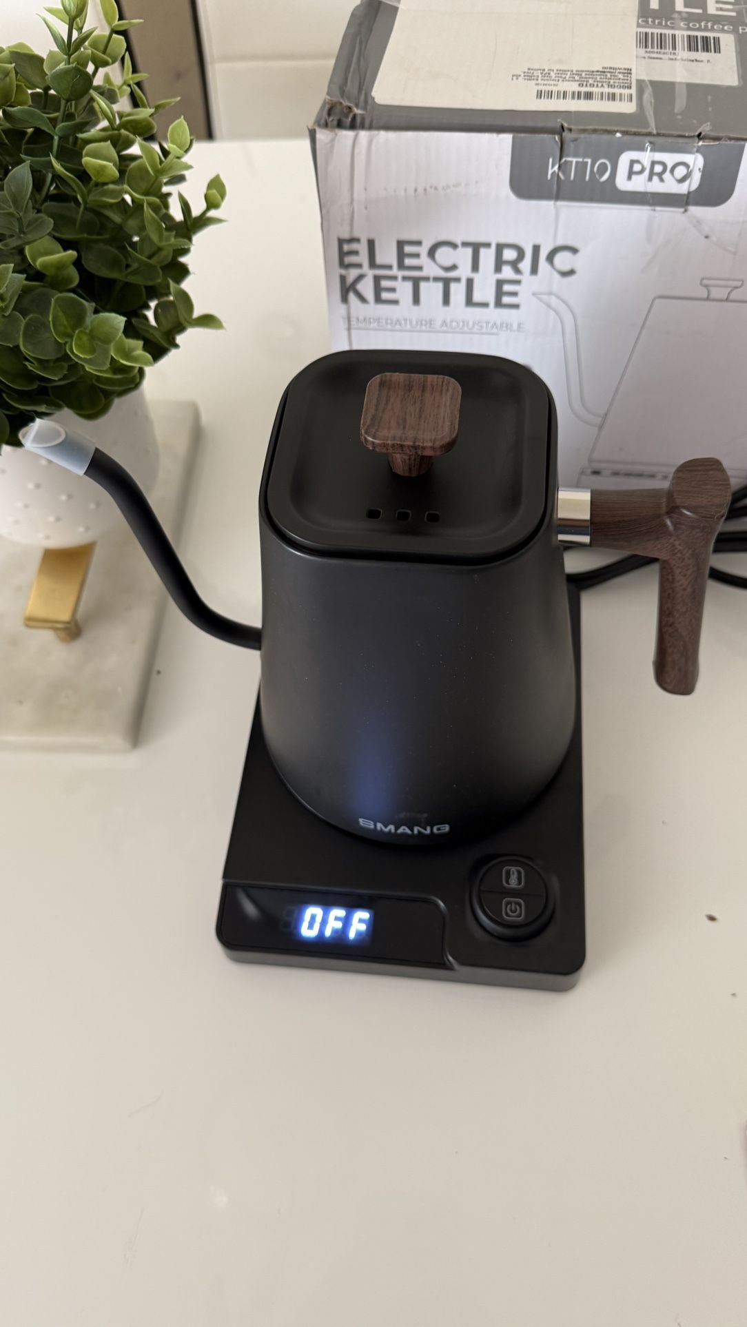 Electric Kettle 