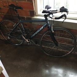 Fuji Bike
