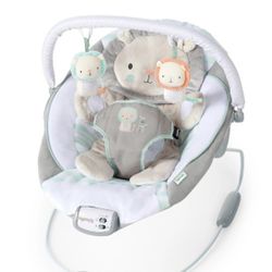 Baby Bouncer New In Box 