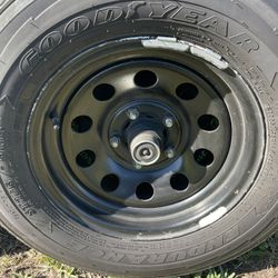 16x6.1/2 Title In Hand