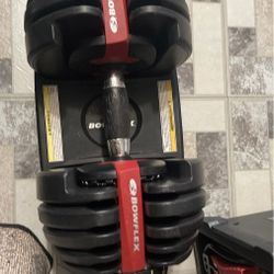 Bowflex weight 